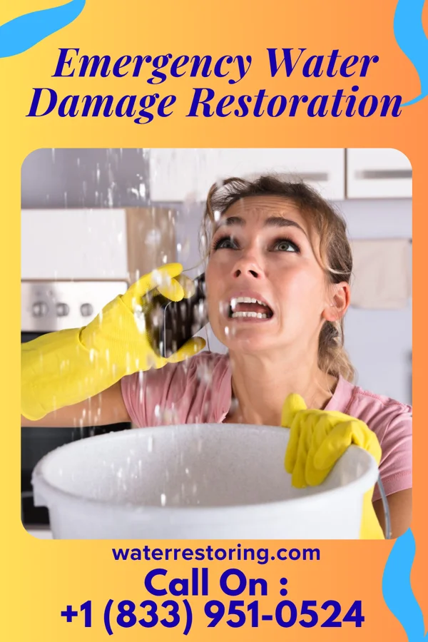 Emergency Water Damage Restoration in East Butler, PA
