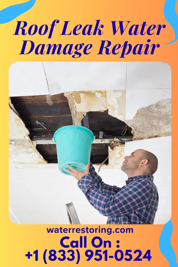 Roof Leak Water Damage Repair in East Butler, PA