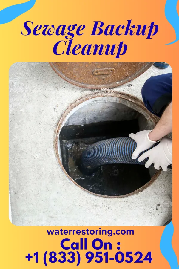 Sewage Backup Cleanup in East Butler, PA