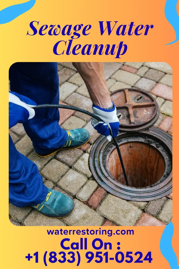 Sewage Water Cleanup in East Butler, PA