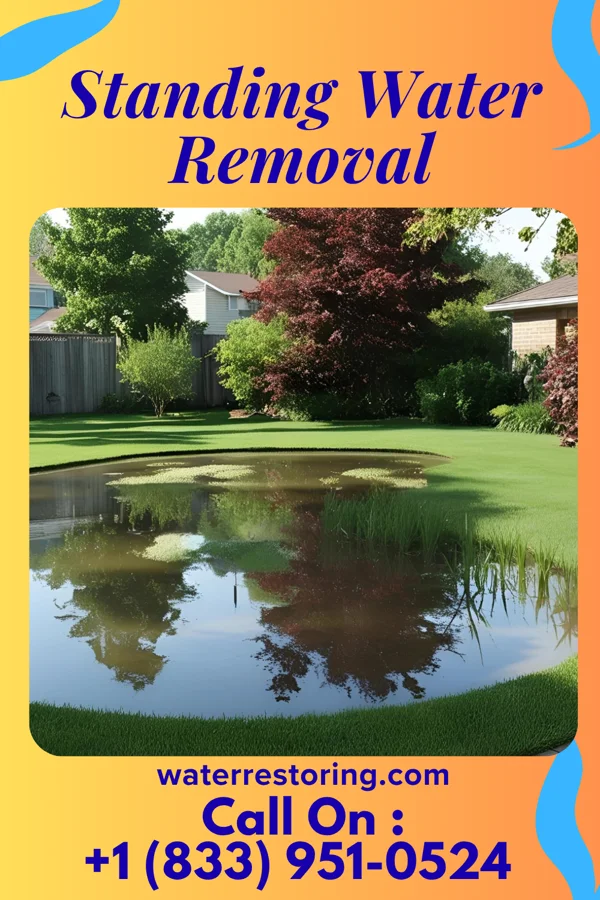 Standing Water Removal in East Butler, PA